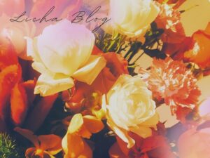 彼から、誕生日にもらった花束